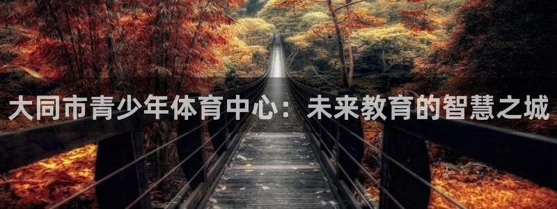 球深体育比分：大同市青少年体育中心：未来教育的智慧之城