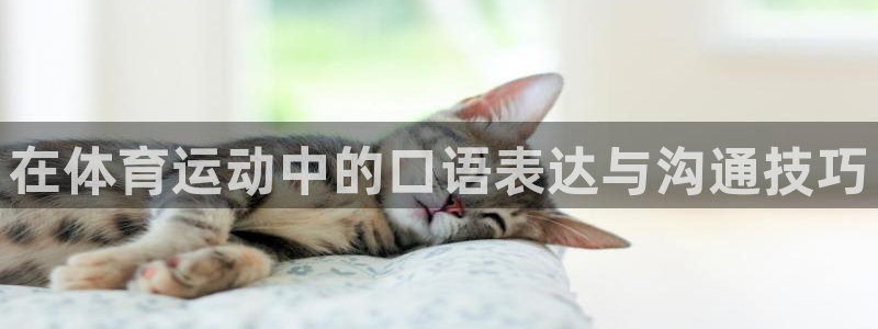 关键词：在体育运动中的口语表达与沟通技巧