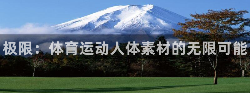 关键词