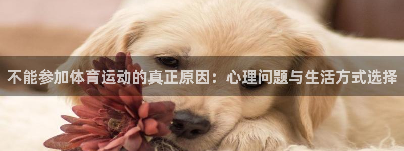 关键词