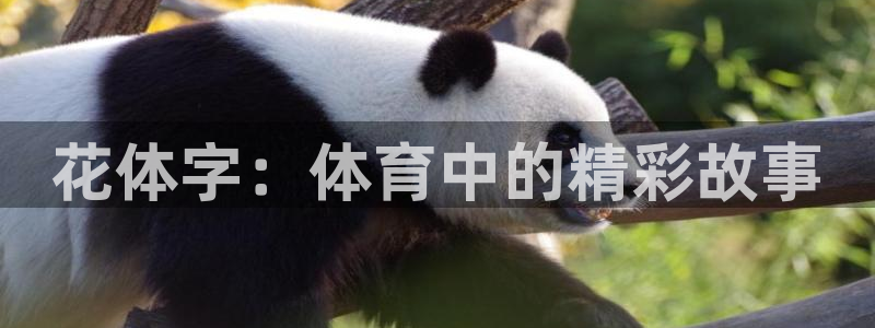关键词