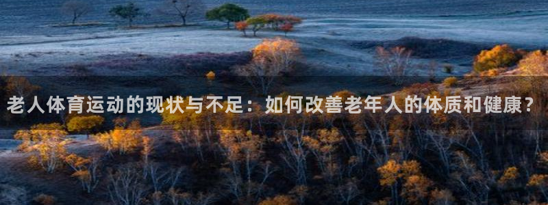 球深体育比分
