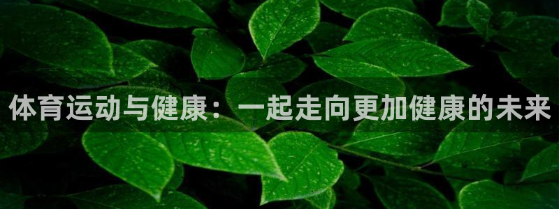 球深体育比分