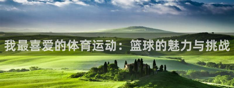 关键词：我最喜爱的体育运动：篮球的魅力与挑战