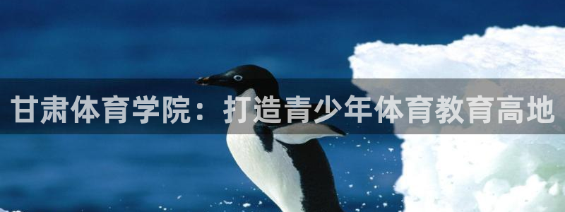 球深体育比分