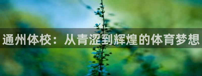 球深体育比分：通州体校：从青涩到辉煌的体育梦想