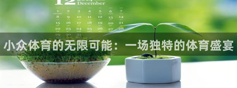 球深体育比分