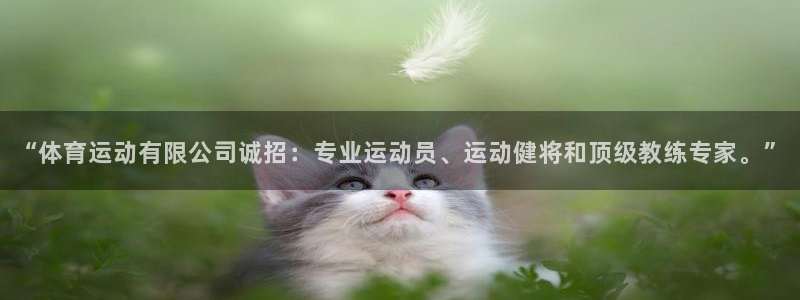 关键词