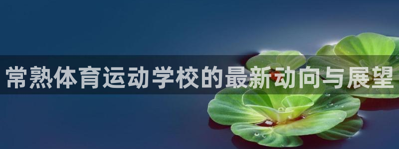 球深体育比分
