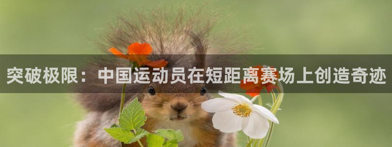 关键词